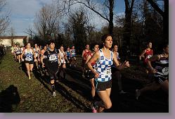 Begles 15.12.13 01 694 * 679 x 453 * (141KB)